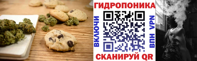 Cannafood марихуана  купить наркоту  Бакал 