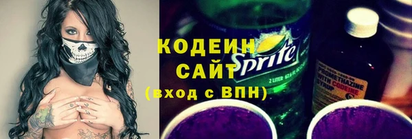мет Няндома