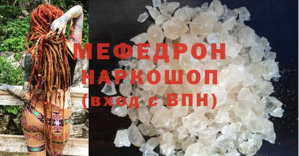 шишки Новодвинск