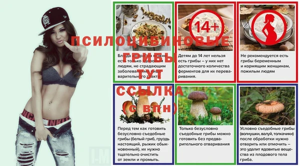 мет Няндома