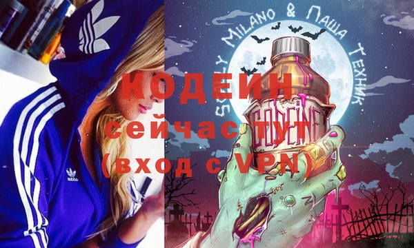 мет Няндома