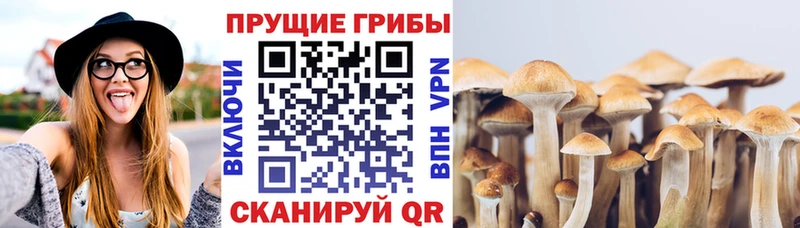 что такое наркотик  Бакал  блэк спрут маркетплейс  Галлюциногенные грибы прущие грибы 